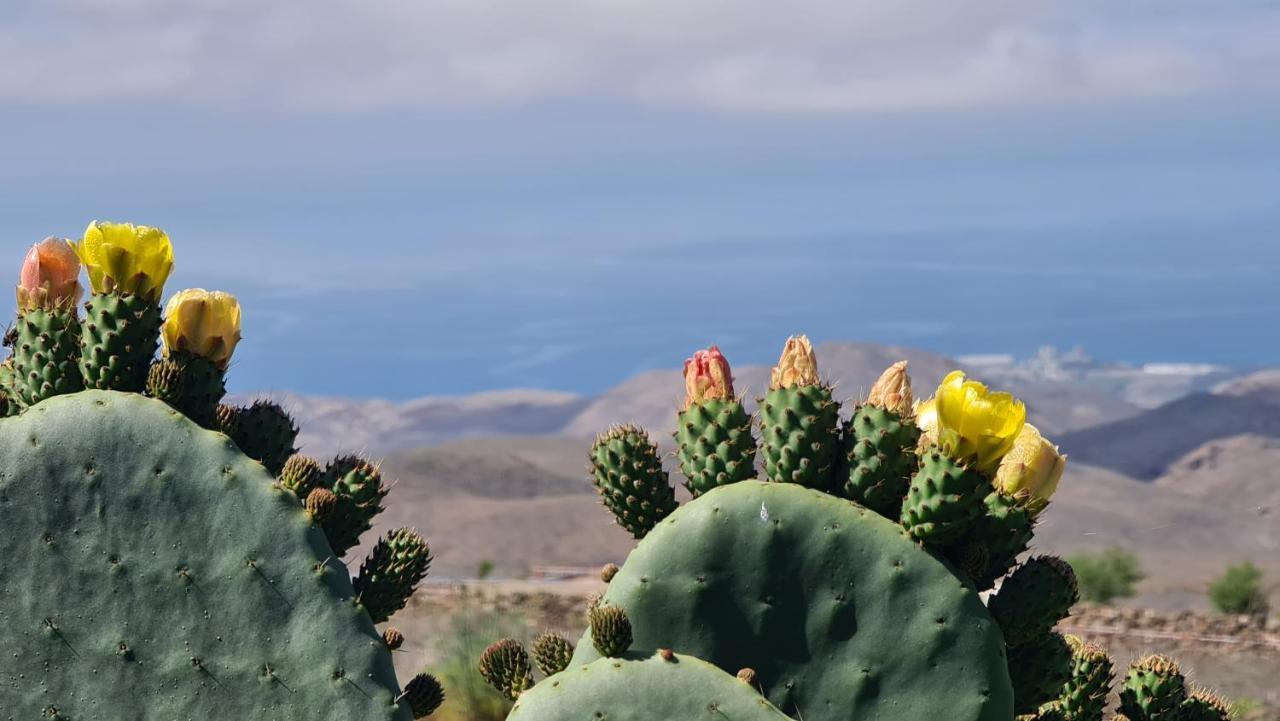 Puerto Rico Top Teide And Amadores View Luaran gambar