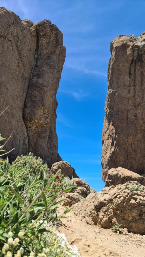 Puerto Rico Top Teide And Amadores View Luaran gambar