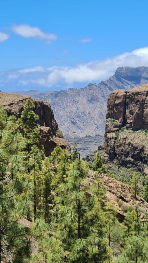 Puerto Rico Top Teide And Amadores View Luaran gambar